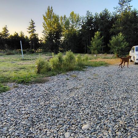 Cabana Valdivia Piedra Blanca 1 Dış mekan fotoğraf