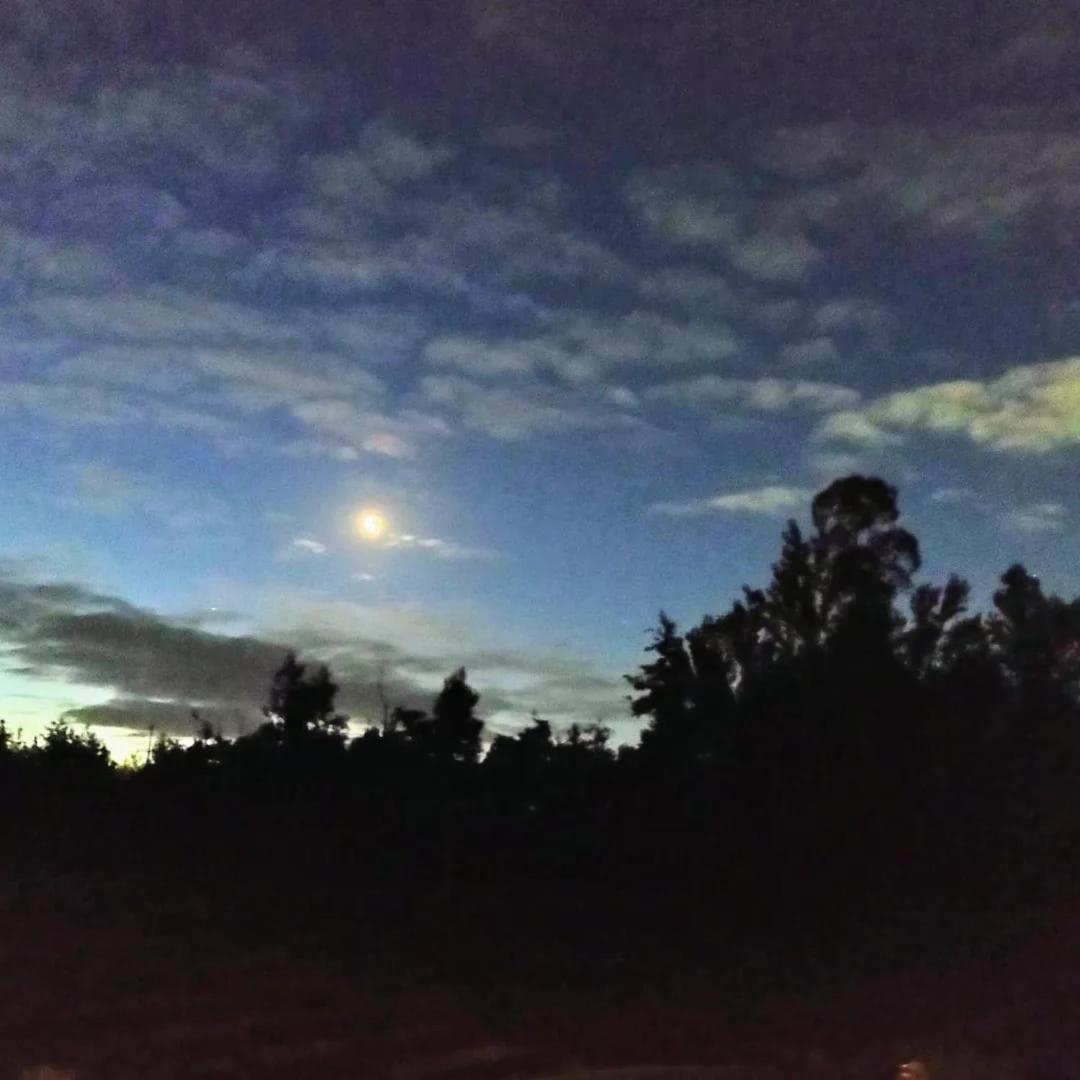 Cabana Valdivia Piedra Blanca 1 Dış mekan fotoğraf