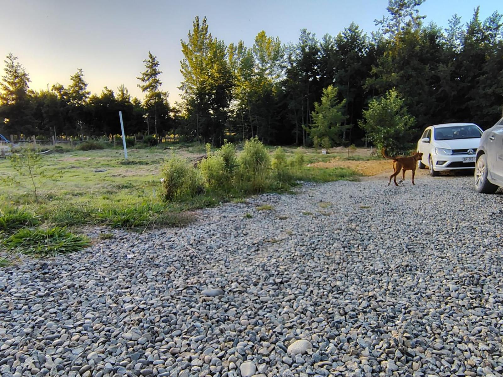 Cabana Valdivia Piedra Blanca 1 Dış mekan fotoğraf