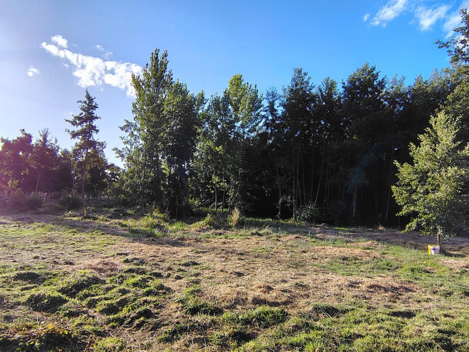 Cabana Valdivia Piedra Blanca 1 Dış mekan fotoğraf